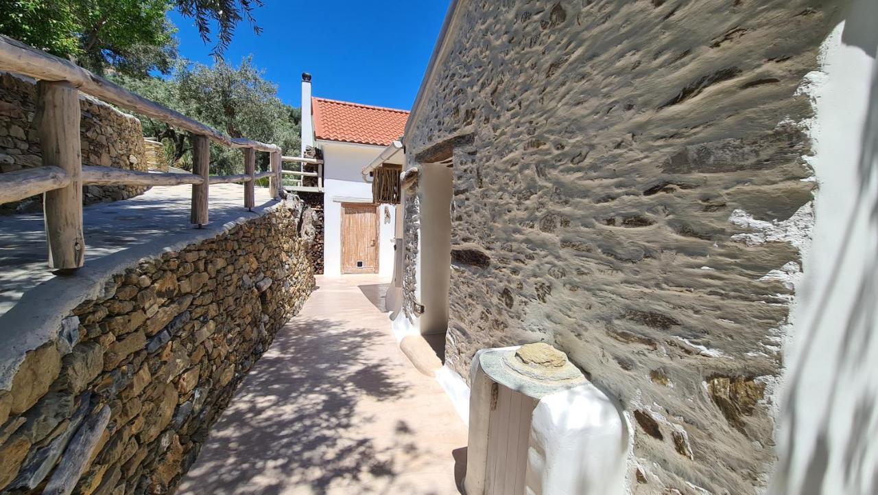 הוילה סקופלוס טאון Christine'S House מראה חיצוני תמונה